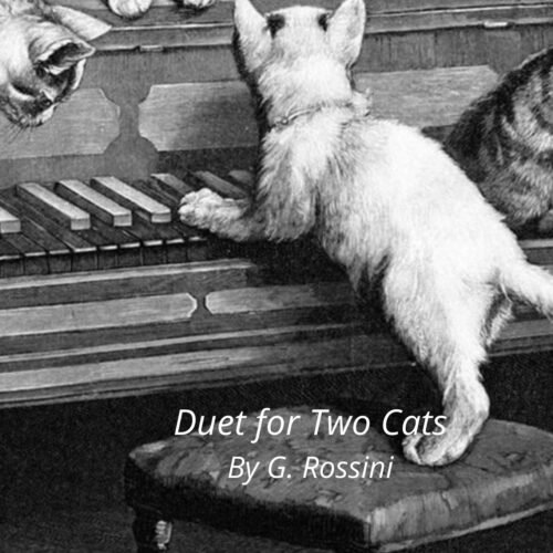 Duet for two Cats (Piano, Trump. & Tromb.)