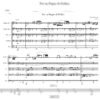 Per Un Pugno Di Dollari (Brass Quintet)