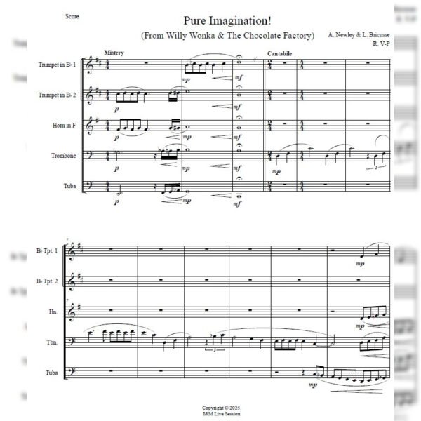 WILLY SCORE Pure Imagination (Brass Quintet)
